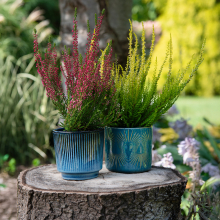 Osłonka ceramiczna ORNELIA S wzór 2